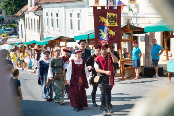 Tumultusi na Aninem sejmu v Višnji Gori