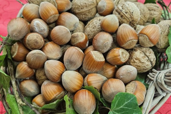 Vabilo: ocenjevanje in razstava potic