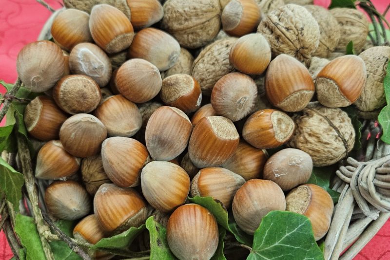 Vabilo: ocenjevanje in razstava potic