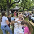 Tradicionalni večer na Dvoru: Glasba, zabava in druženje v okviru Suhokranjskih dni