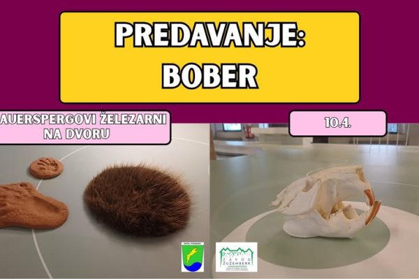 Vabljeni na predavanje o bobru