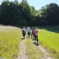 Potepanje po vinorodni gorici