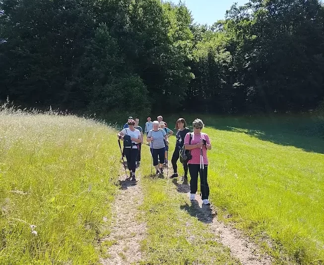 Potepanje po vinorodni gorici